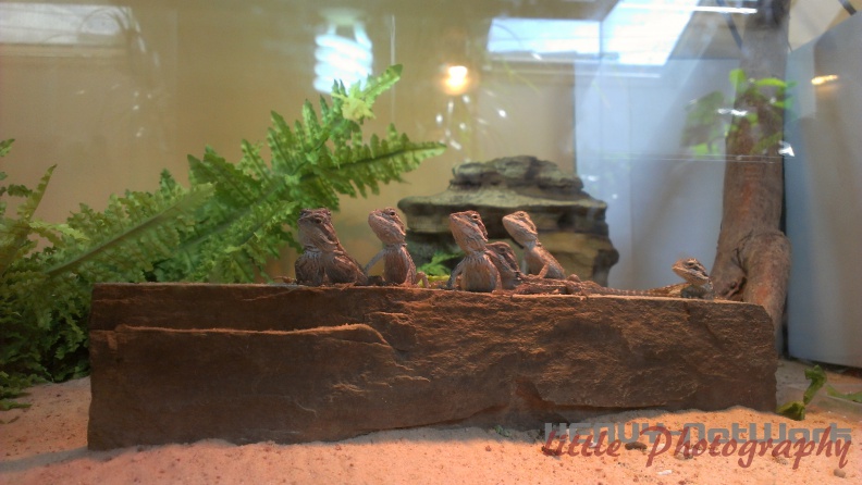 IMAG0153-1.jpg