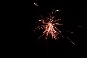 swc IMG 1722