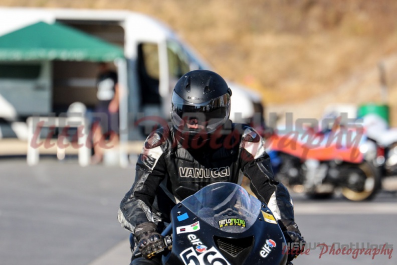swc_IMG_0052.jpg