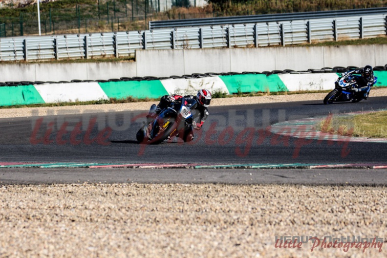 swc_IMG_0005.jpg