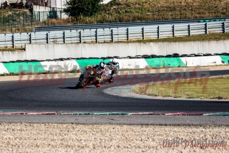 swc_IMG_0009.jpg