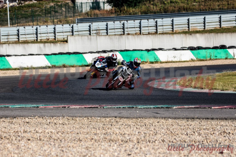 swc_IMG_0003.jpg