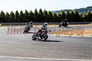 swc IMG 0324