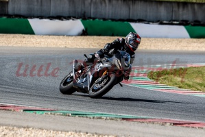 swc IMG 2245