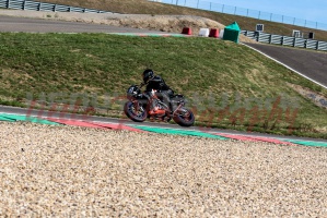 swc IMG 8984