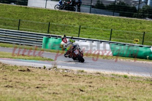 swc IMG 8325