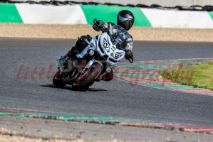 swc IMG 6533