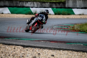 swc IMG 0637