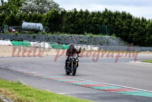 swc IMG 8001