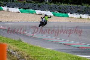 swc IMG 8019
