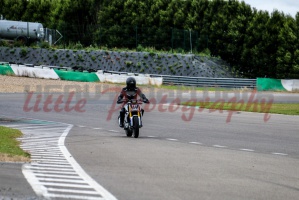 swc IMG 8121