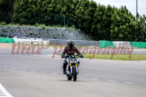 swc IMG 8122